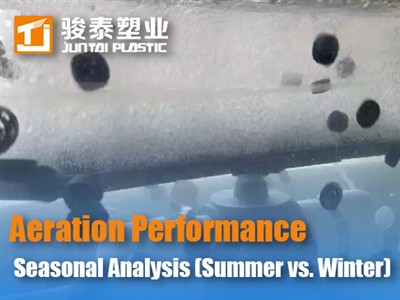 Prestaties van fijne bellenbeluchting in het AAO-proces: seizoensanalyse (zom...